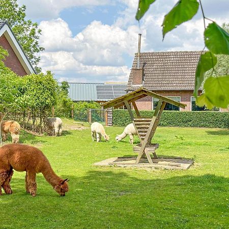 Alpacafarm Vorstenbosch エクステリア 写真