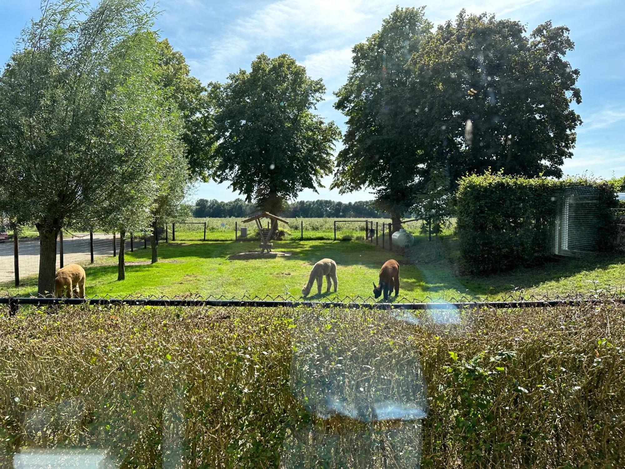 Alpacafarm Vorstenbosch エクステリア 写真