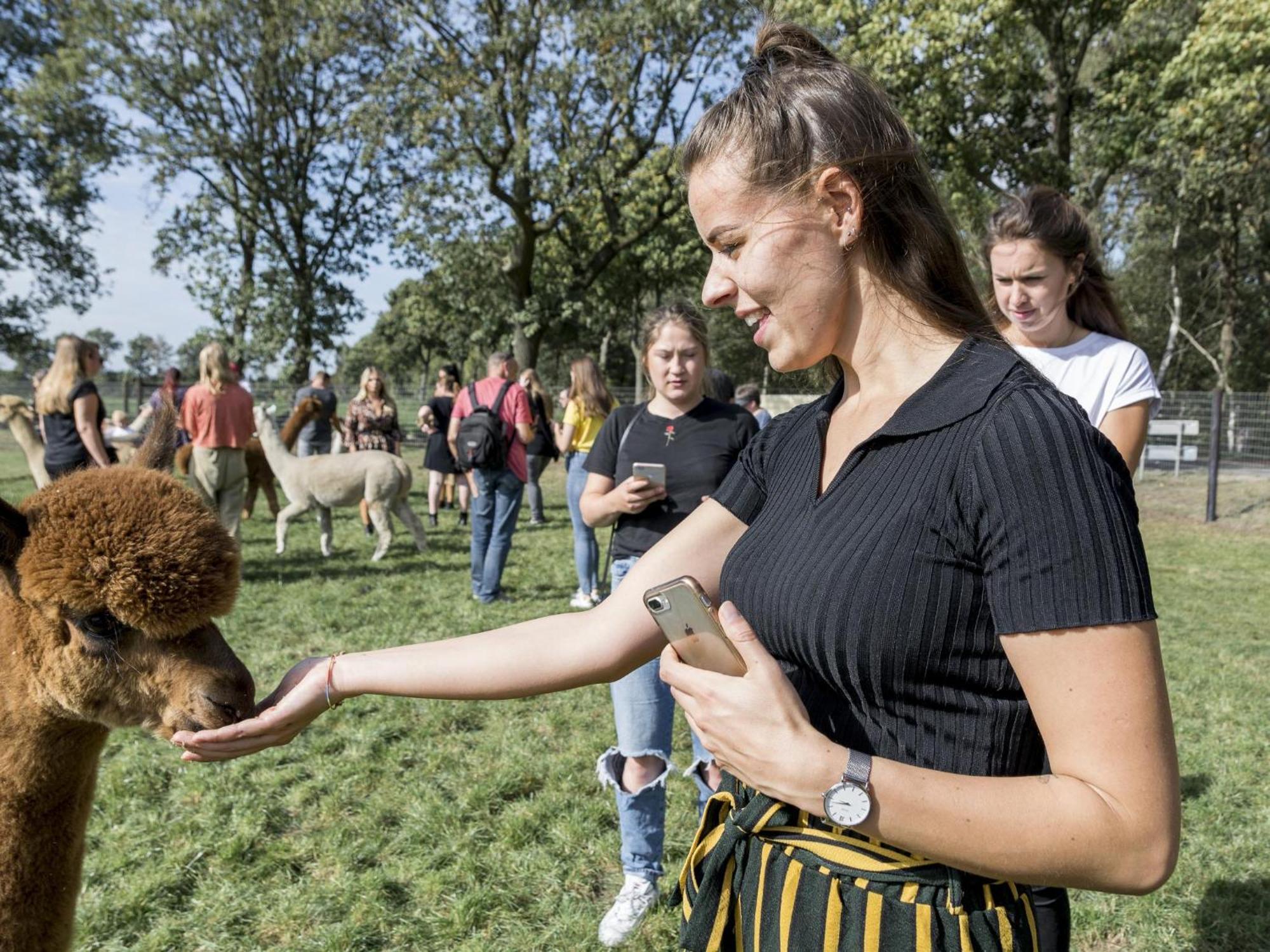 Alpacafarm Vorstenbosch エクステリア 写真