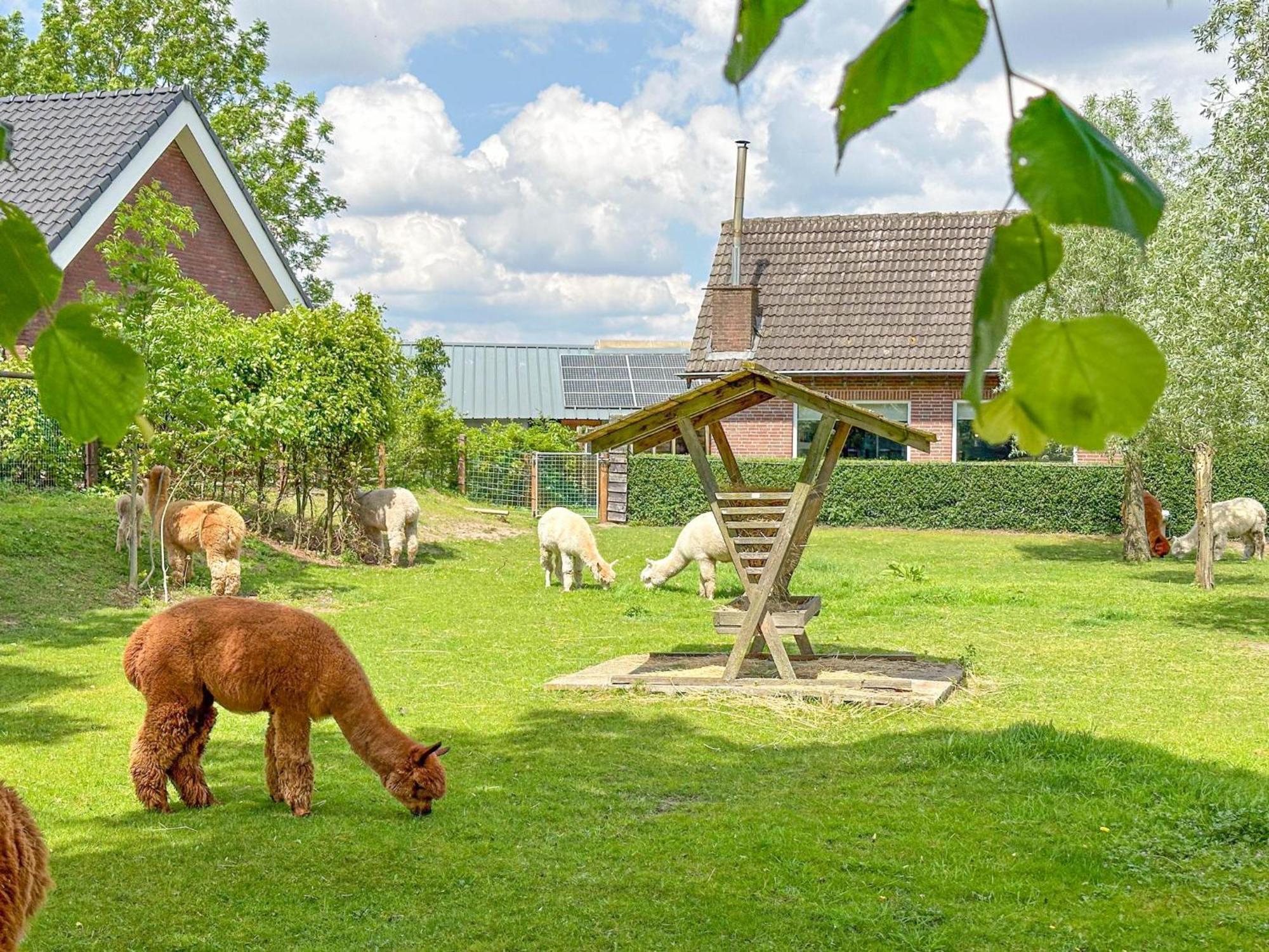 Alpacafarm Vorstenbosch エクステリア 写真